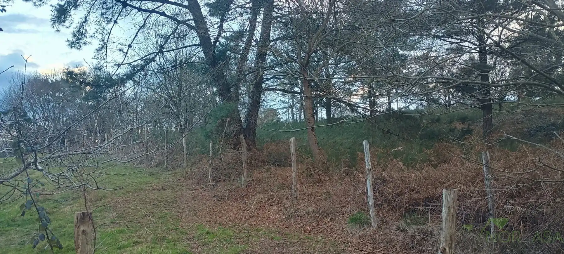 Terrenys i solars en venda a Posada de Llanera, imagen 2
