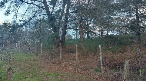 LlaneraTerreno, immagine 2