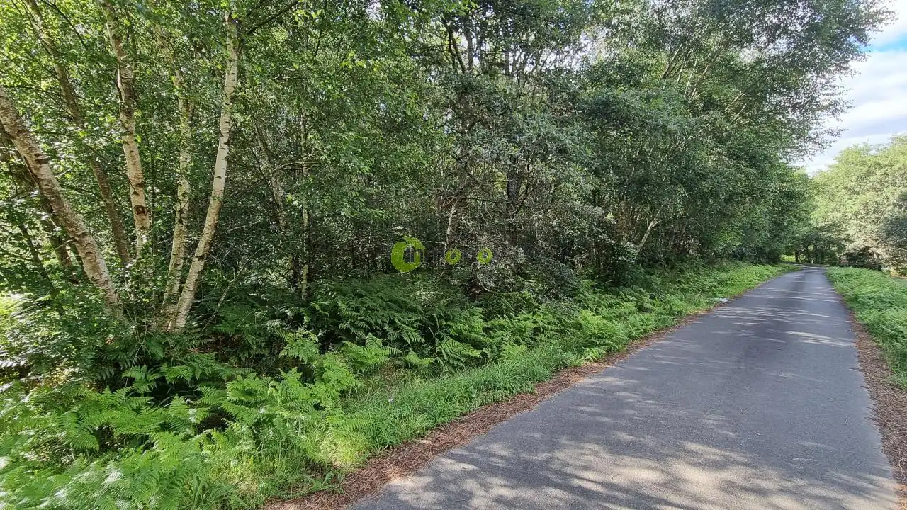 Grundstücke und Bauplätze zum Verkauf in A Estrada, imagen 2