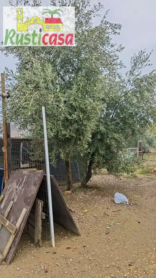 Terreni e lotti in vendita a Sevilleja, imagen 11