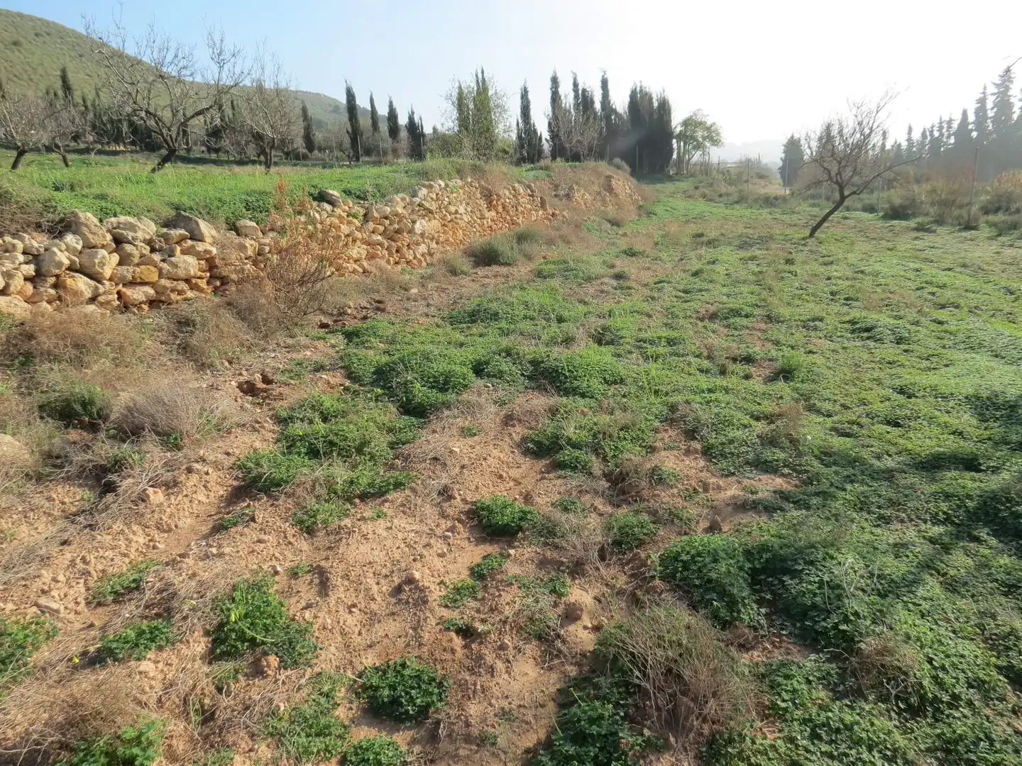 Terreni e lotti in vendita a Pedanías Oeste, imagen 10