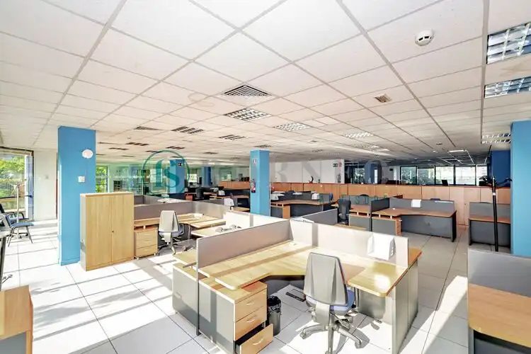Ufficio in affitto a Pinar de las Rozas, imagen 8