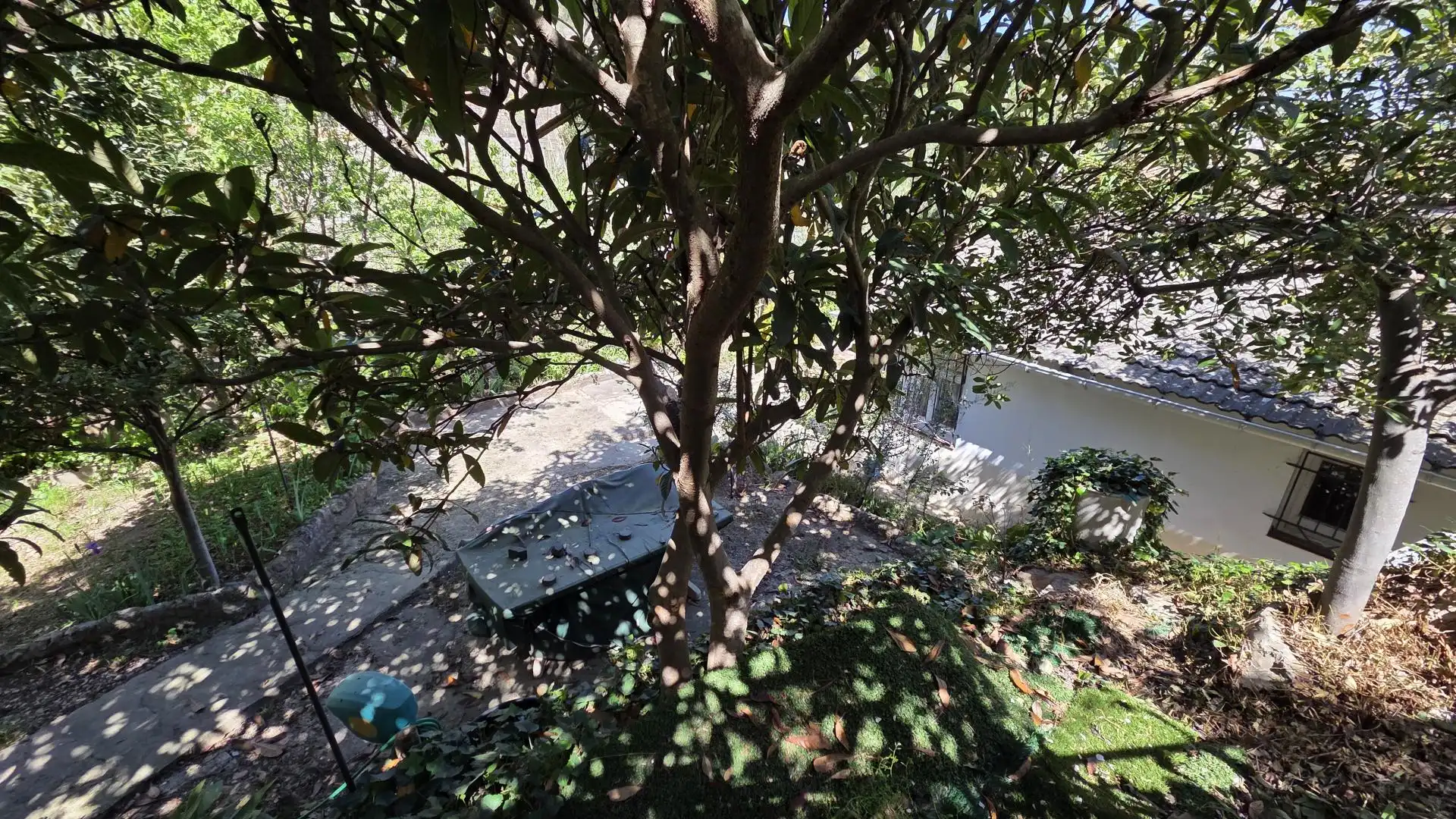 Jardín de Casa o chalet en venta en Monistrol de Montserrat con Jardín privado y Terraza