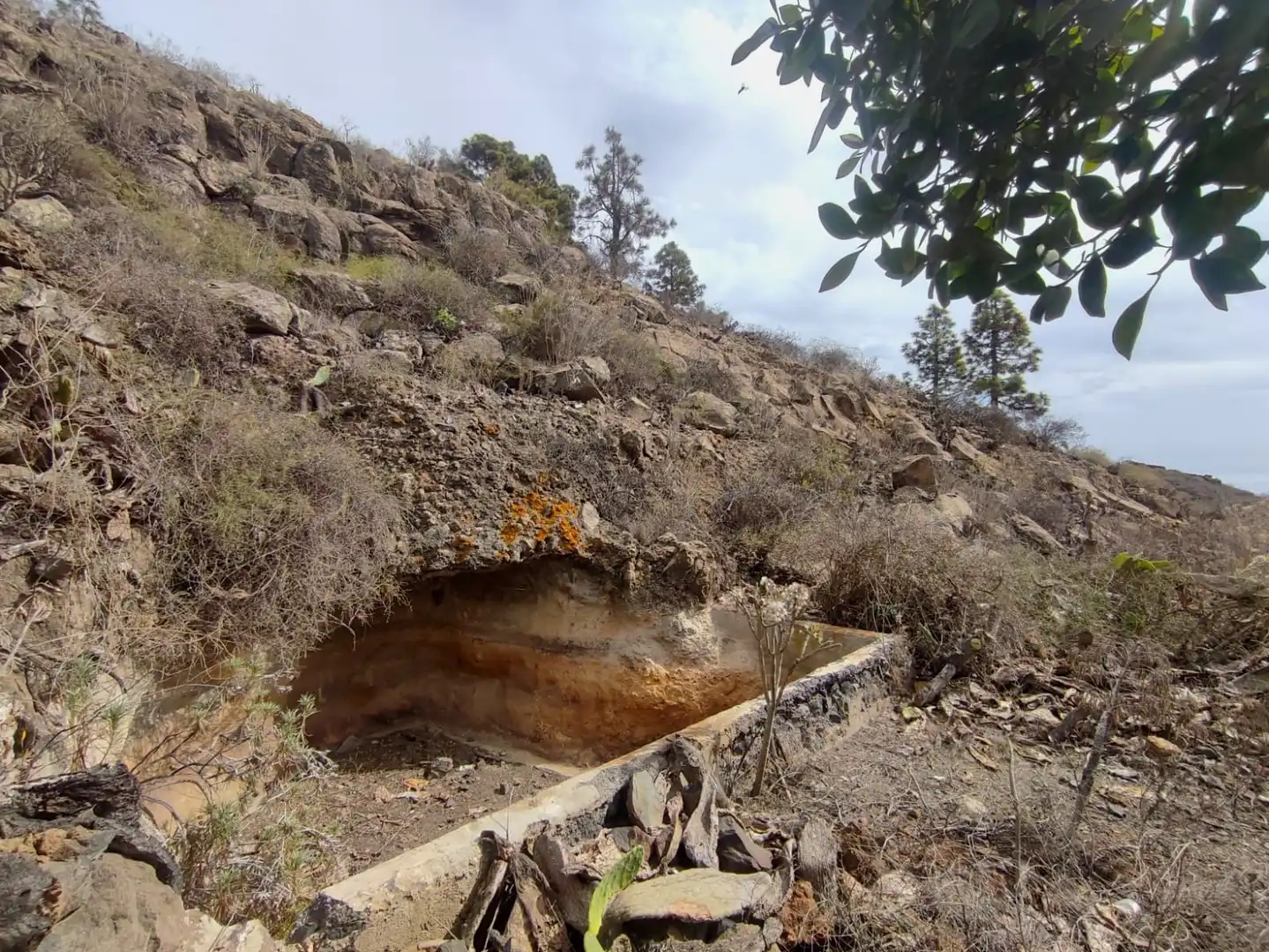 Terreno rústico en venta en Vilaflor de Chasna, imagen 13