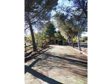 Casa rústica amb jardí en venda a Calle crt de fuente fresno