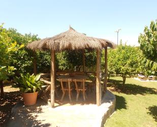 House or chalet to rent in Pinos de Alhaurín
