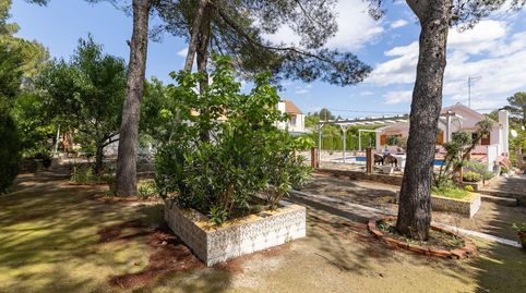 Foto 4 de Casa o xalet en venda a Calle Barranco de Finestretes, Mogente / Moixent, Valencia