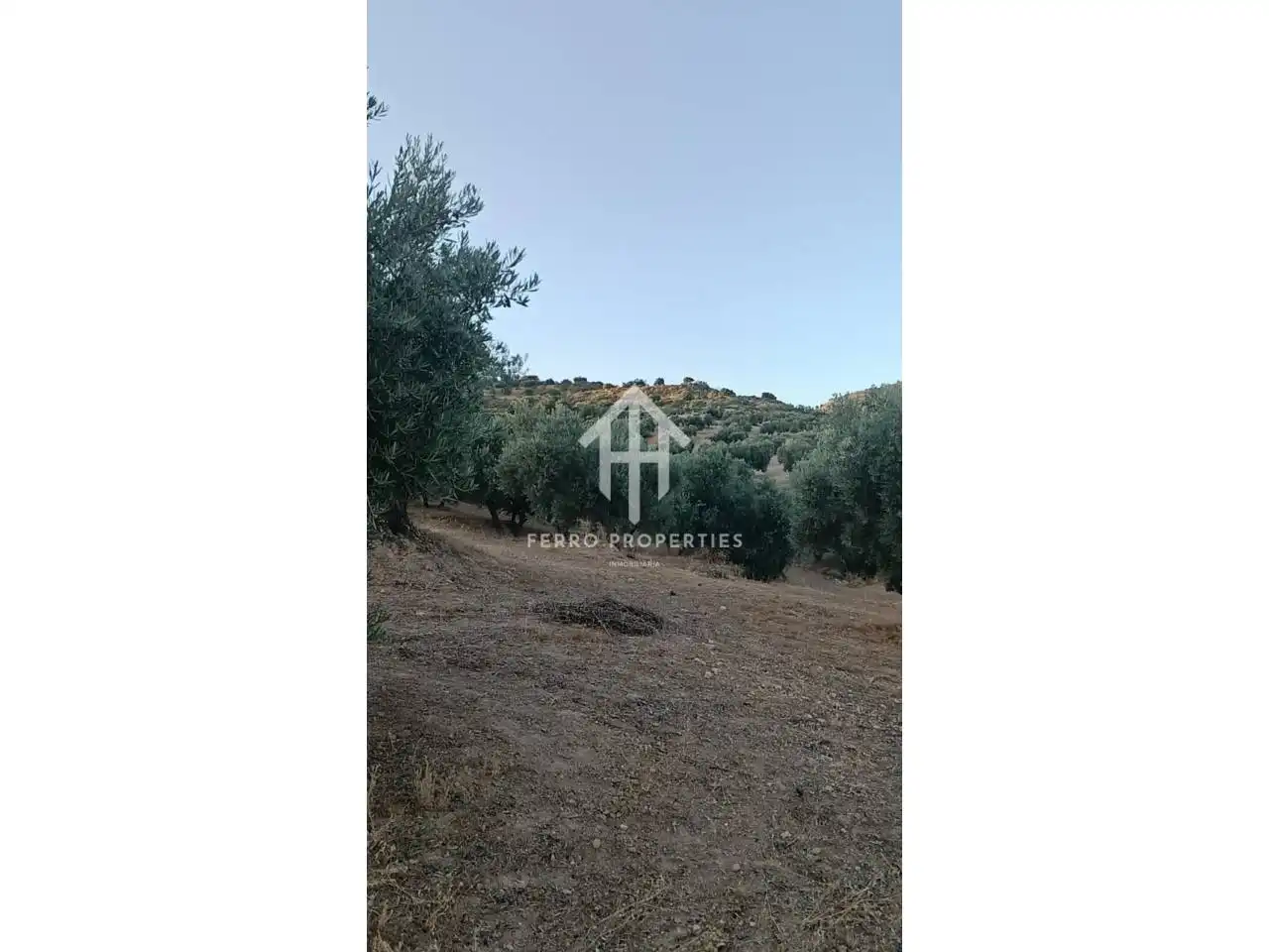 Terreno rustico in vendita a Camino Yeseros de Nivar 1, imagen 7