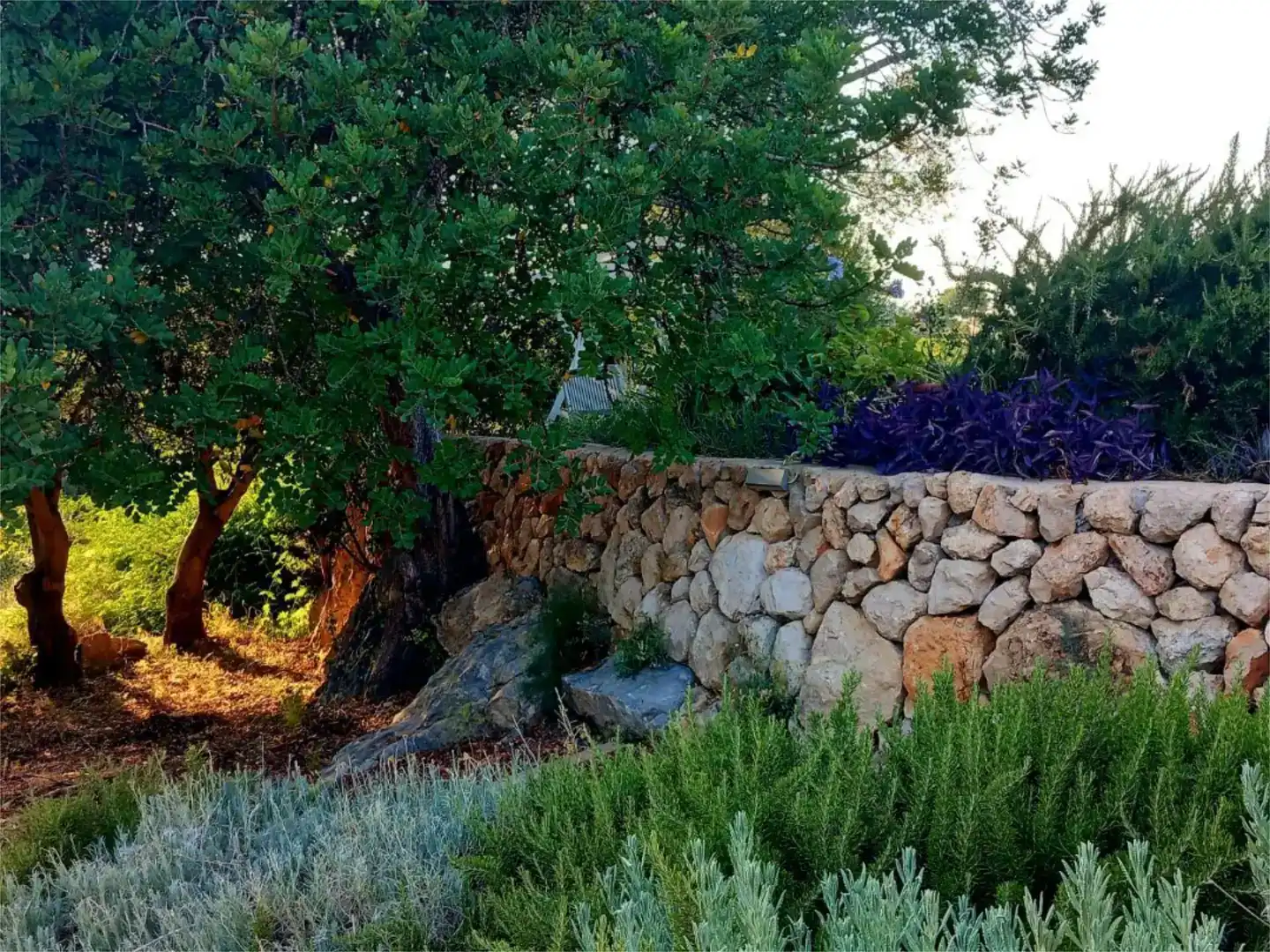 Jardí de Casa o xalet en venda en  Palma de Mallorca