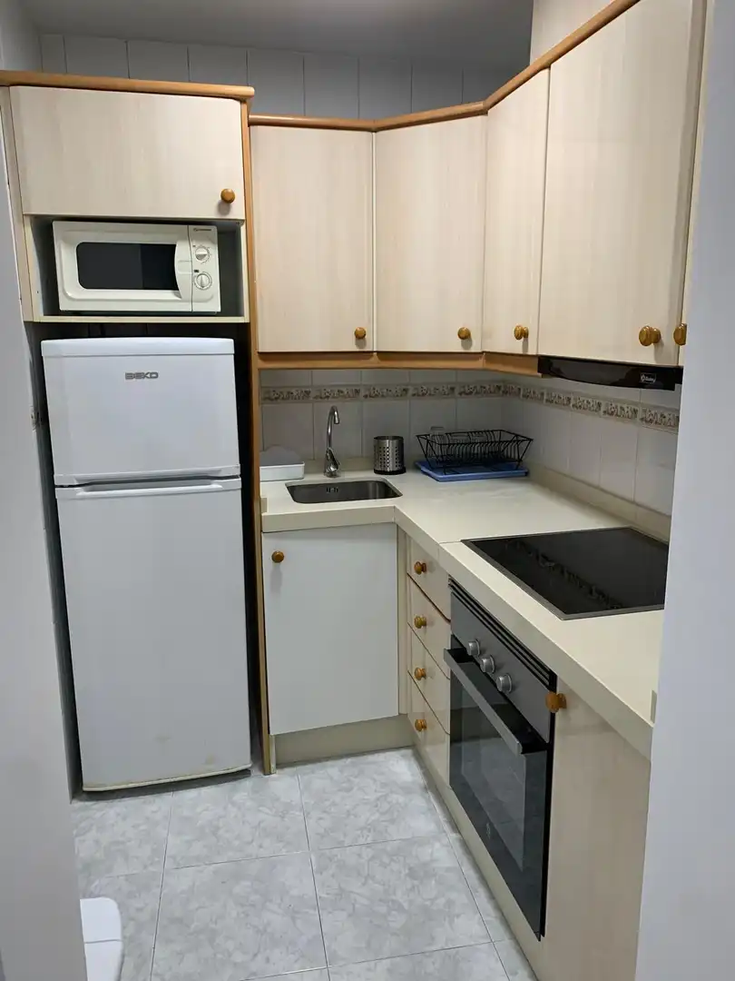 Kitchen of Apartments for rent in Arroyo de la Miel 