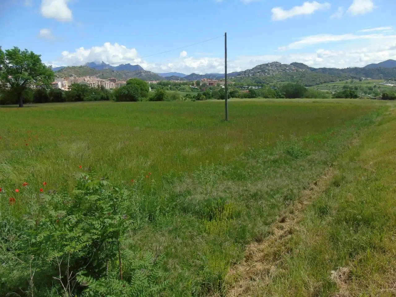Terreno rustico in vendita a Berga