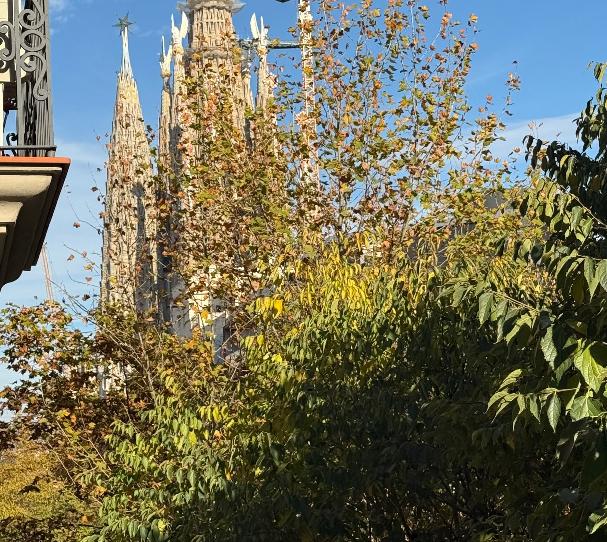 Foto 1 de Pis en venda a Carrer de Provença, Dreta de l'Eixample, Barcelona