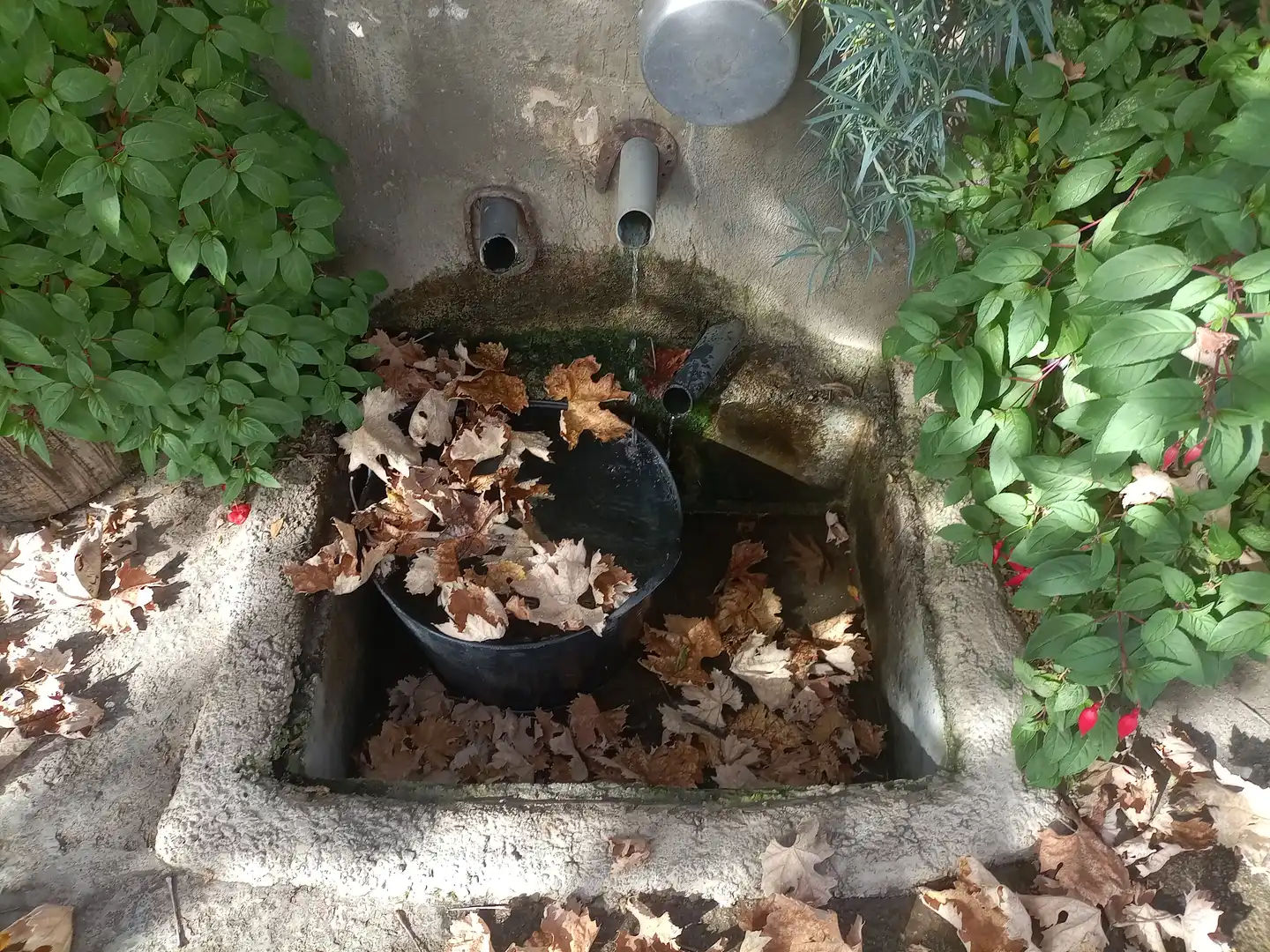 Terreny rústic en venda a Alpujarra de la Sierra, imagen 9