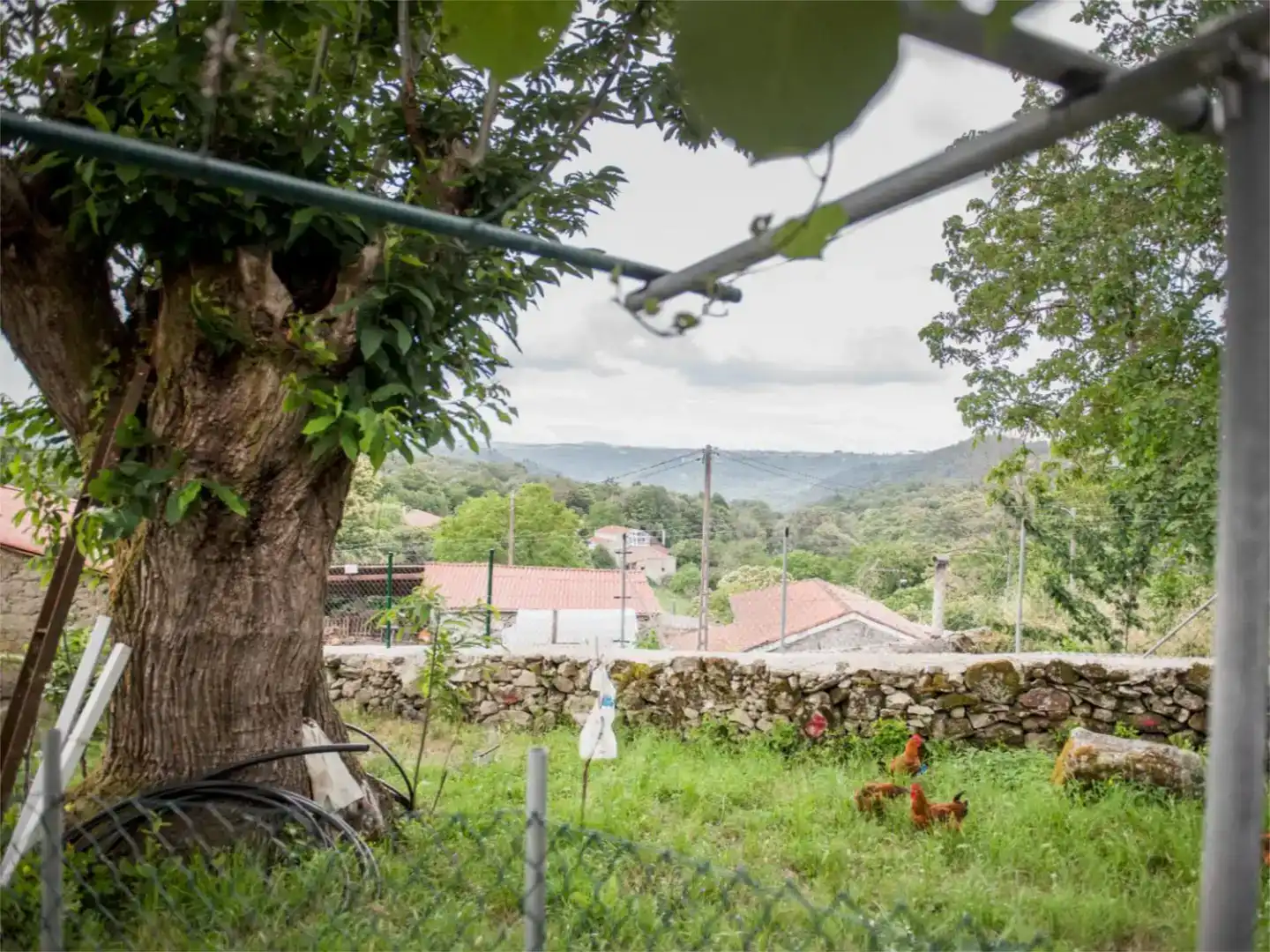 Casa o xalet en venda en Taboada amb Jardí privat, Parquet i Traster