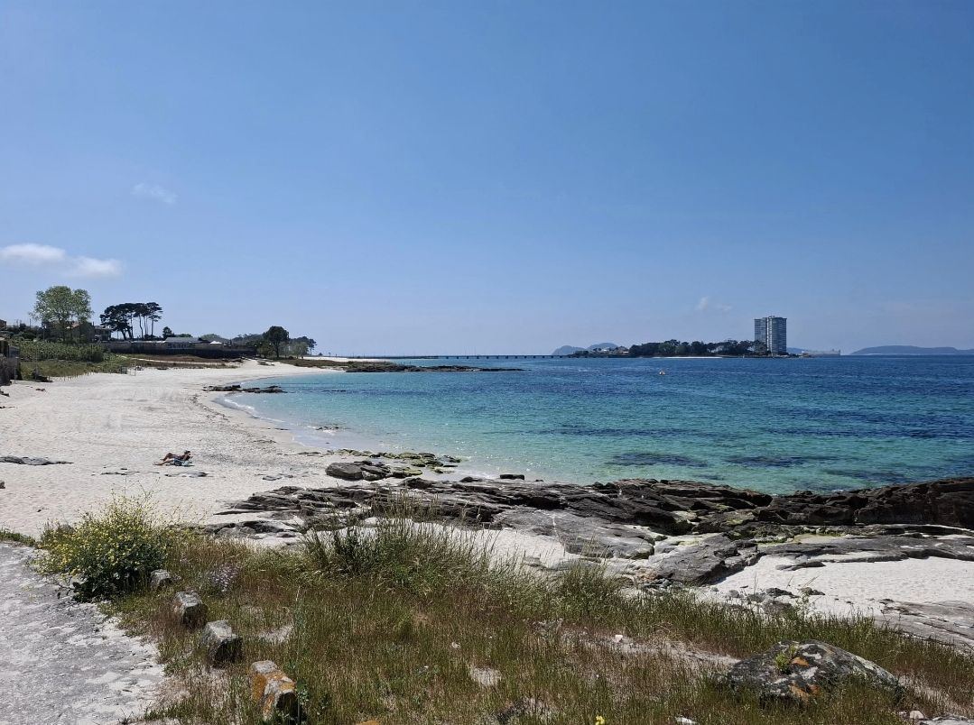 Exterior view of House or chalet for sale in Vigo   with Heating, Private garden and Terrace