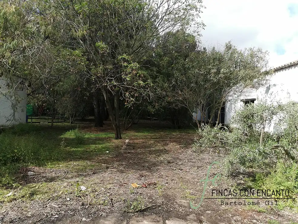 Finca rústica en venda en Marchena amb Aire condicionat, Terrassa i Piscina