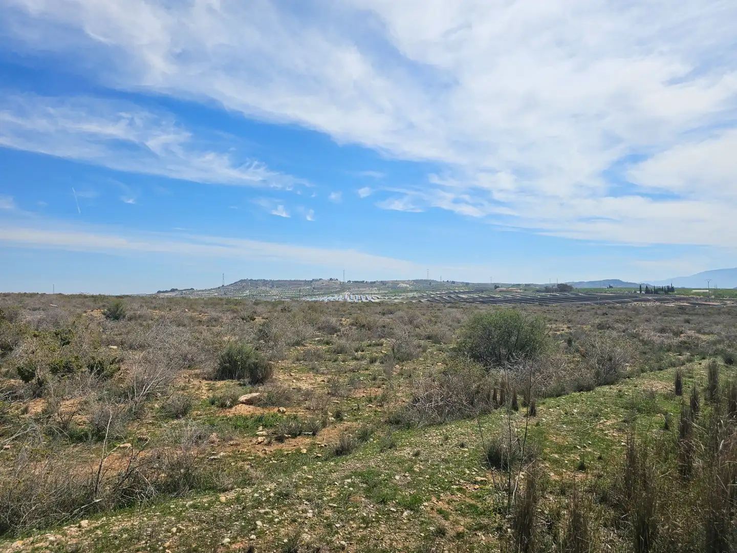 Lands and plots for sale in Mula, imagen 5