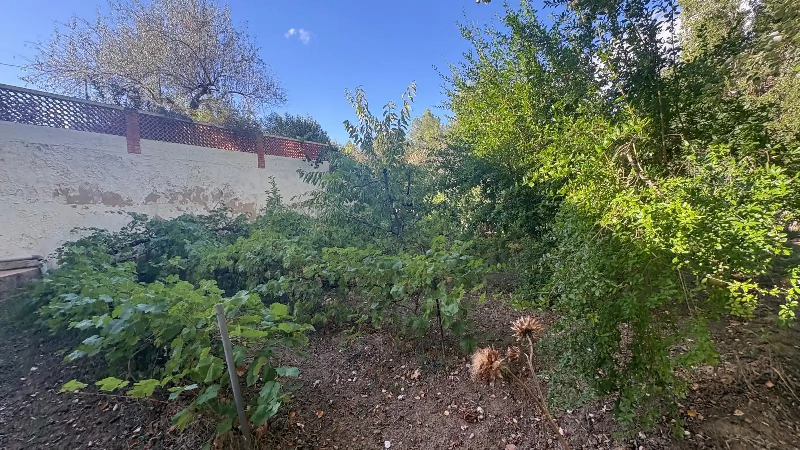 Villa avec piscine à vendre à Almansa, imagen 14