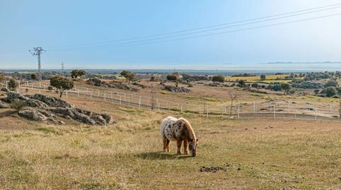 Photo 2 of Country house for rent to own in N-403, Buenavista - Valparaíso - La Legua, Toledo