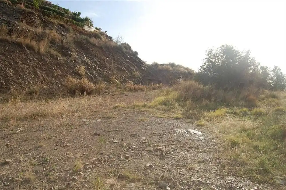 Terreny rústic en venda a Sayalonga, imagen 5
