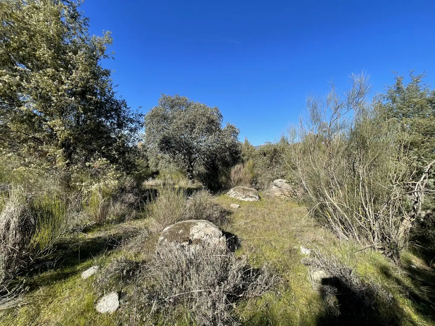 Terreni e lotti in vendita a Fresnedilla, imagen 7