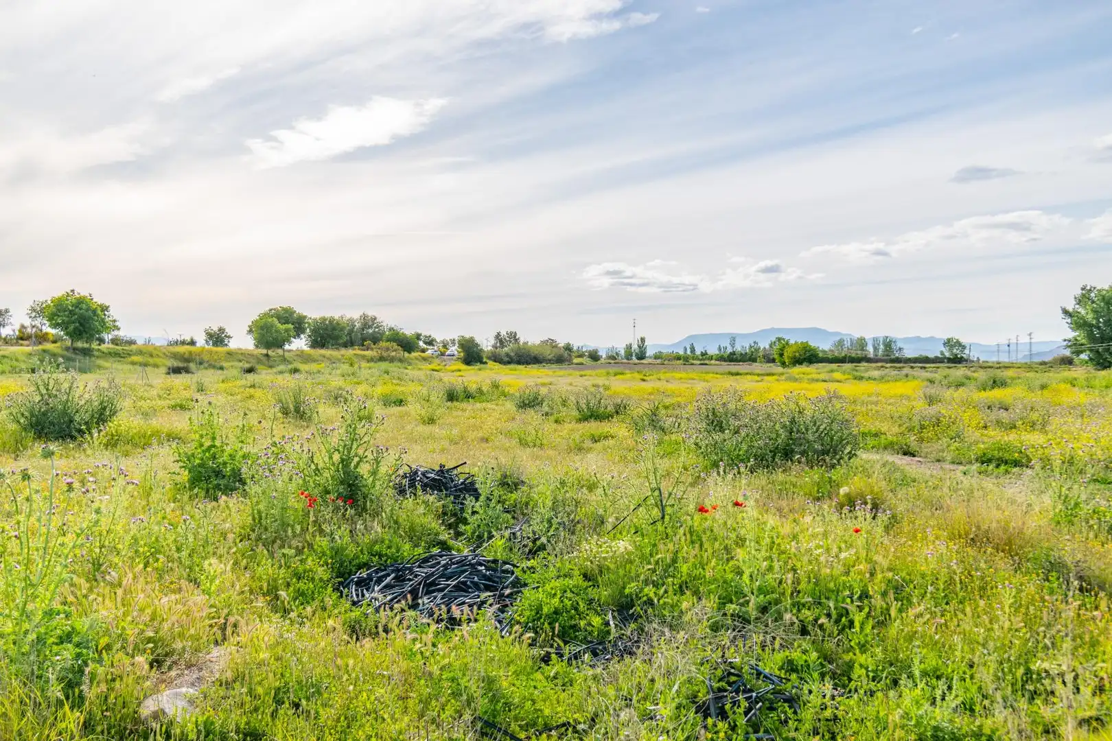 Lands and plots for sale in Polígono 9 Parcela 307 MARACHAT. GRANADA (GRANADA, imagen 34