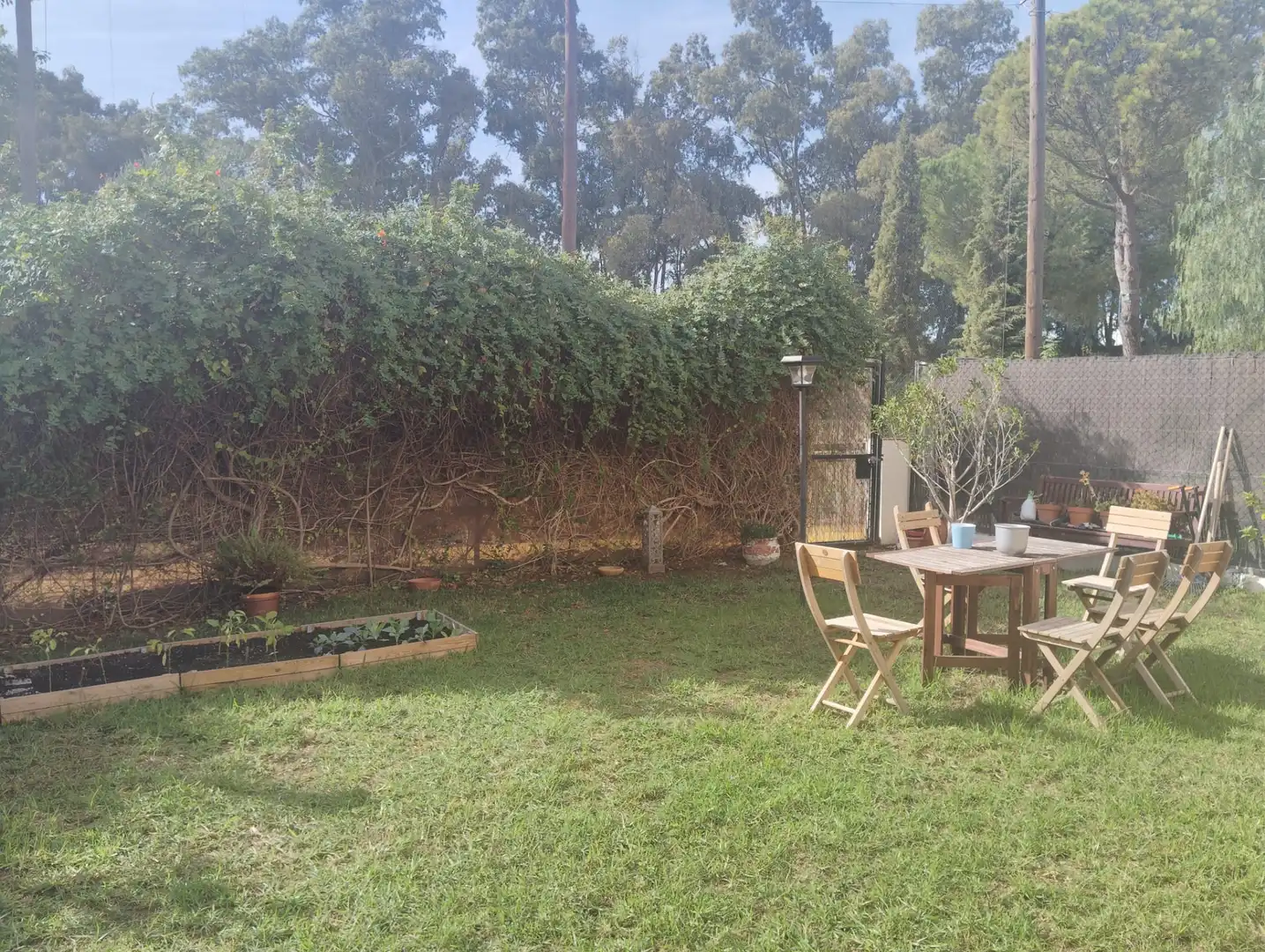 Jardí de Casa o xalet en venda en Guillena amb Aire condicionat, Calefacció i Jardí privat