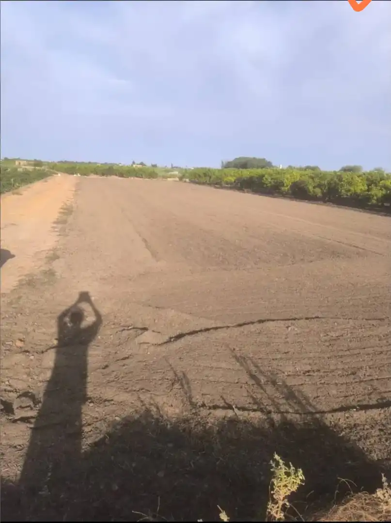 Terrain rustique à vendre à Sagunto ciudad, imagen 6