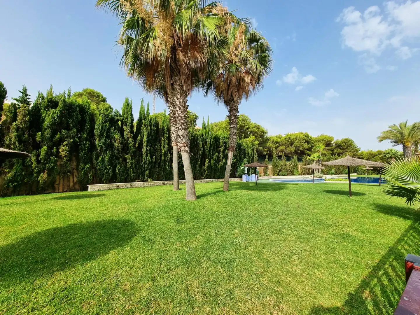 Jardín de Apartamento en venta en Santa Pola con Aire acondicionado, Amueblado y Piscina comunitaria