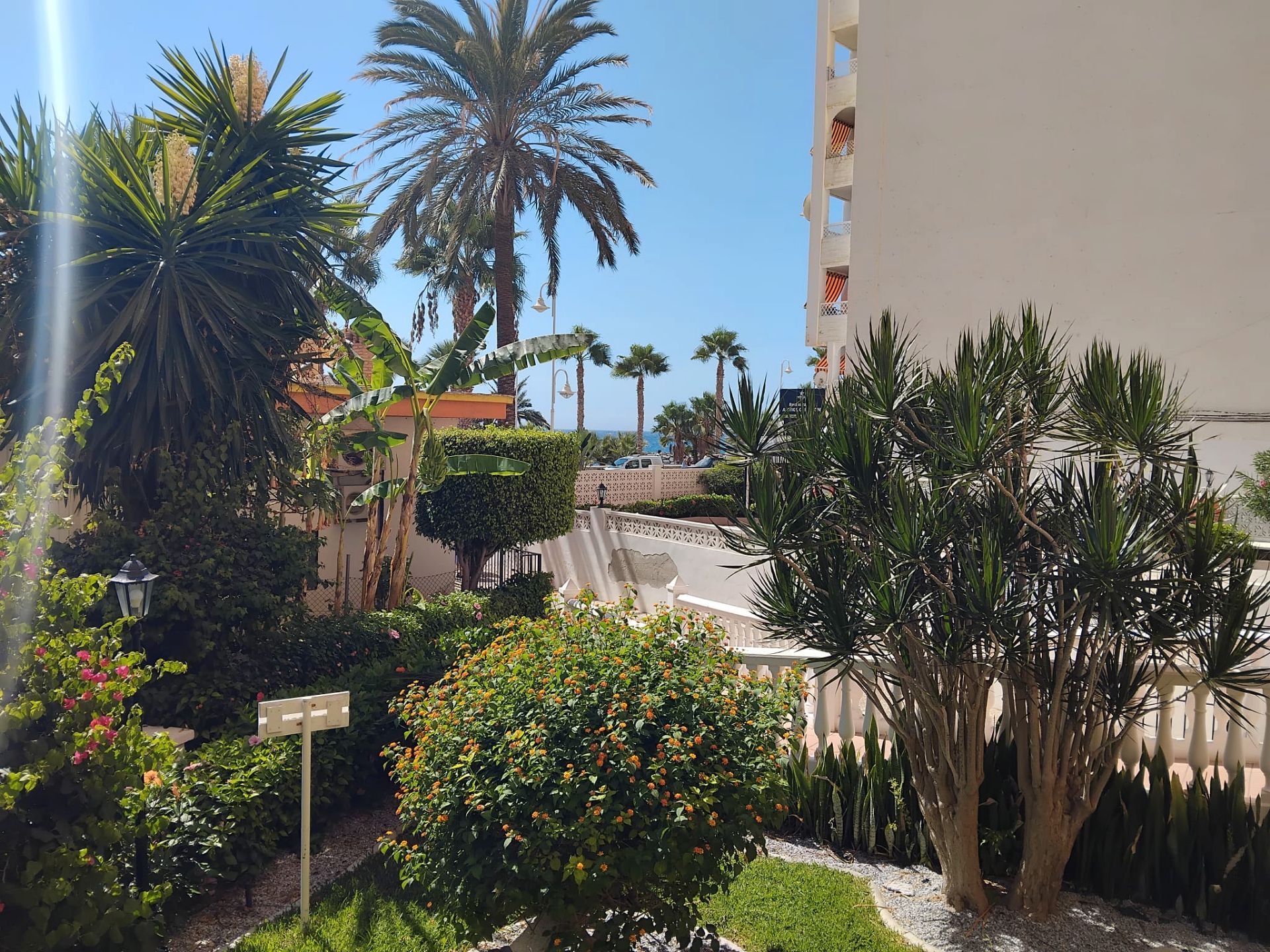 Jardín de Apartamento de alquiler en Almuñécar con Aire acondicionado, Terraza y Amueblado