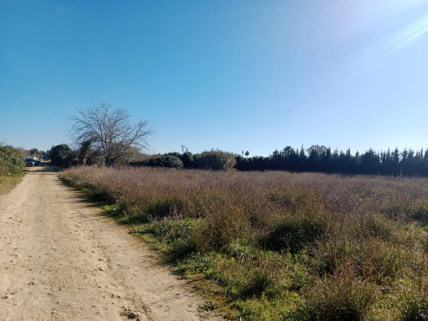 Terreno en venta en Utrera