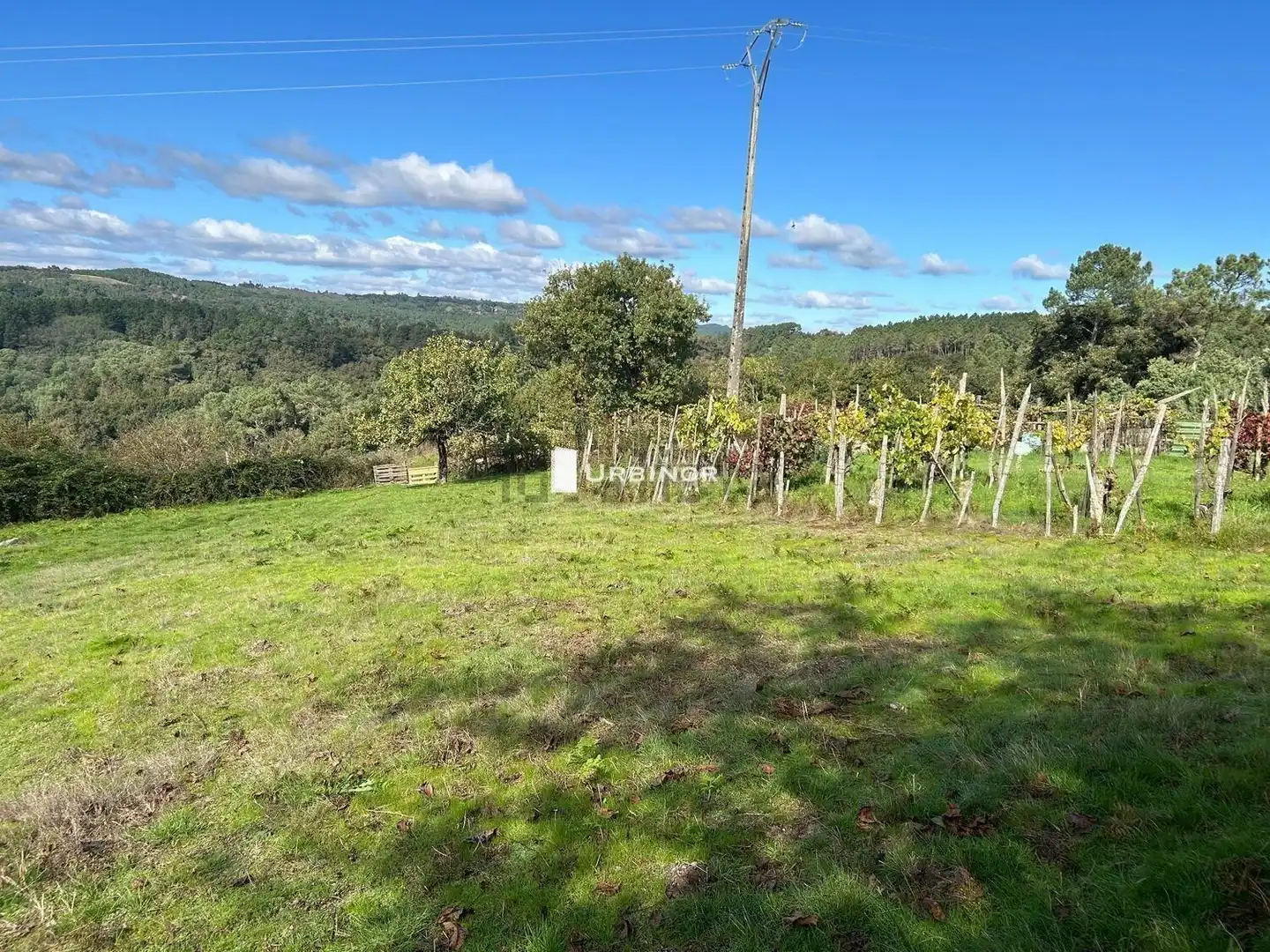 Casa amb jardí en venda a Amoeiro, imagen 9