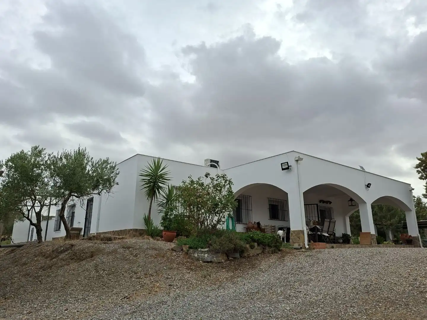 Exterior view of Country homes for sale in Zafra, Badajoz
