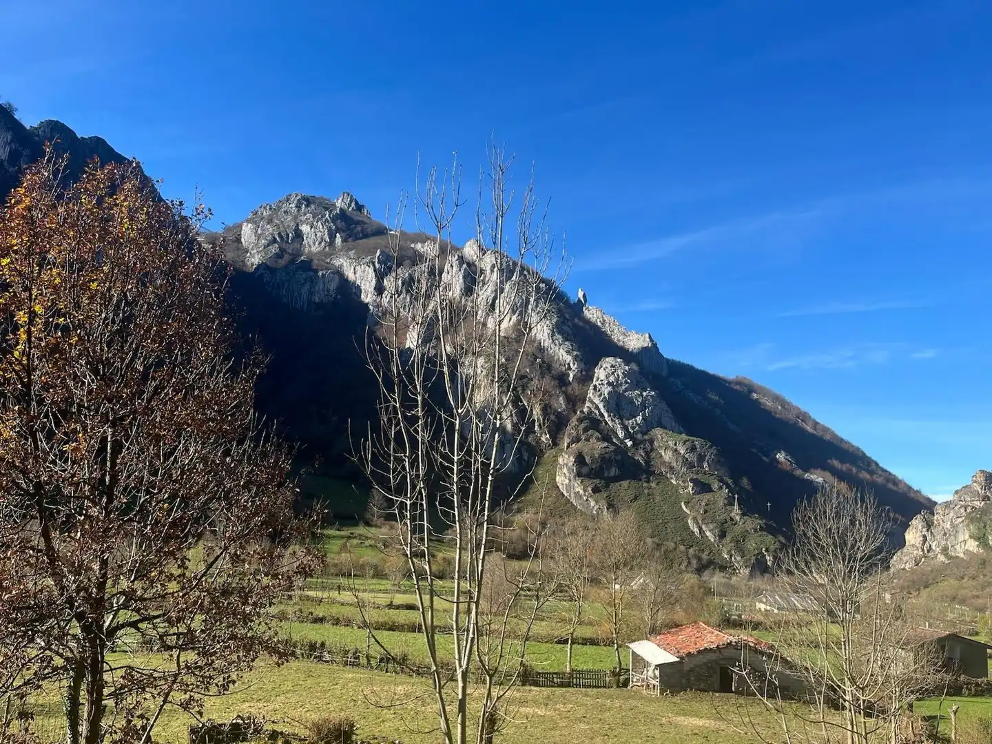 Exterior view of Land for sale in Aller