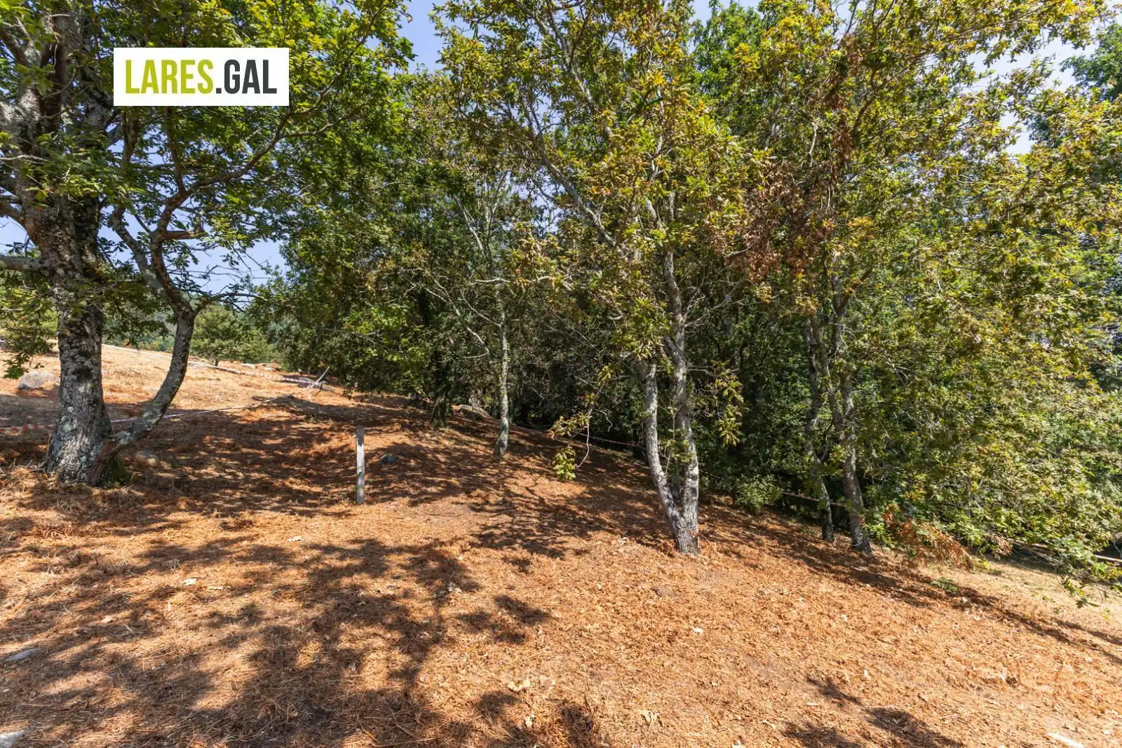 Residential land for sale in Rúa Estrada Herbello a Magdalena, imagen 16