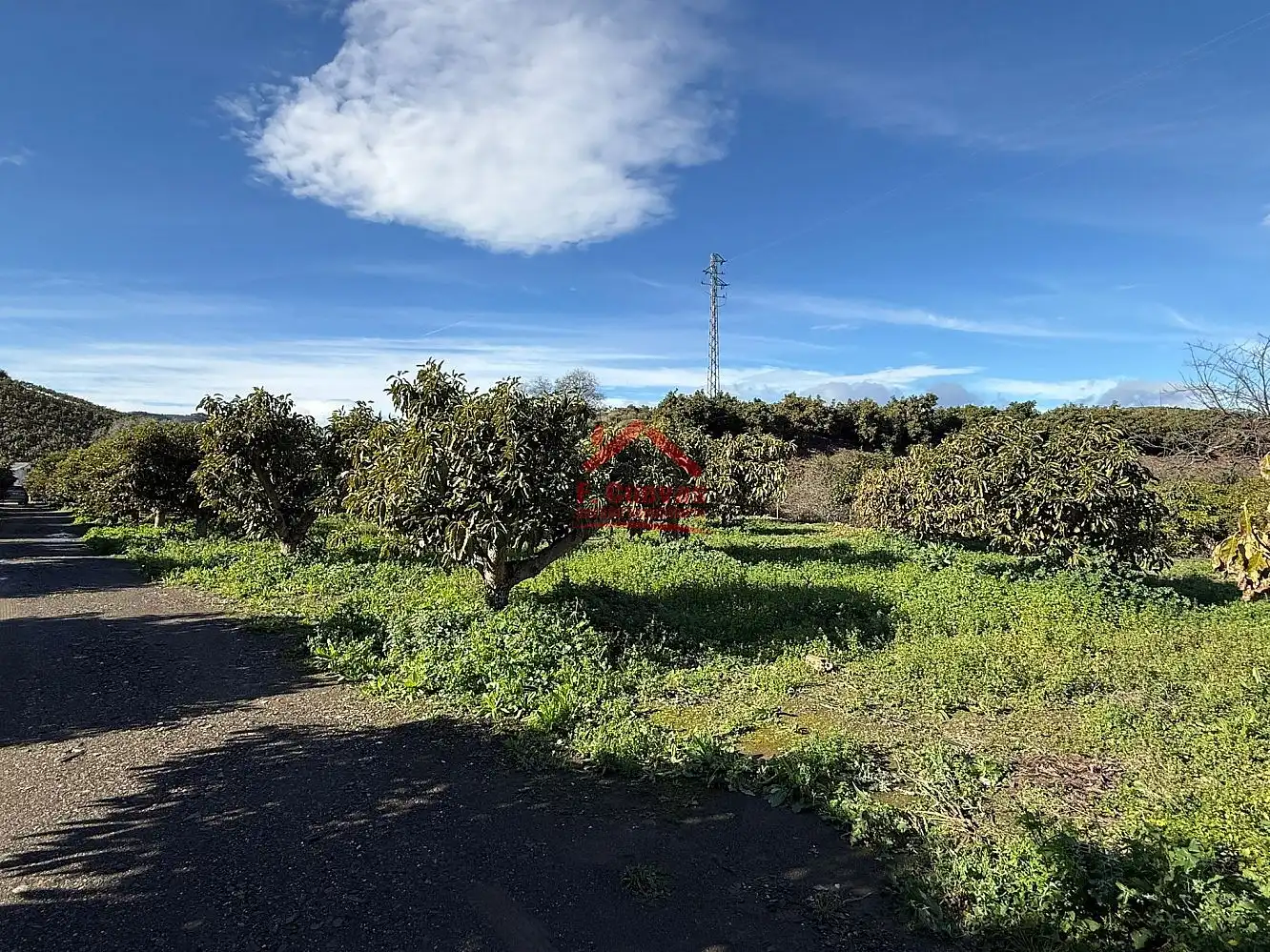 Finca rústica en venda en Vélez-Málaga amb Terrassa i Piscina