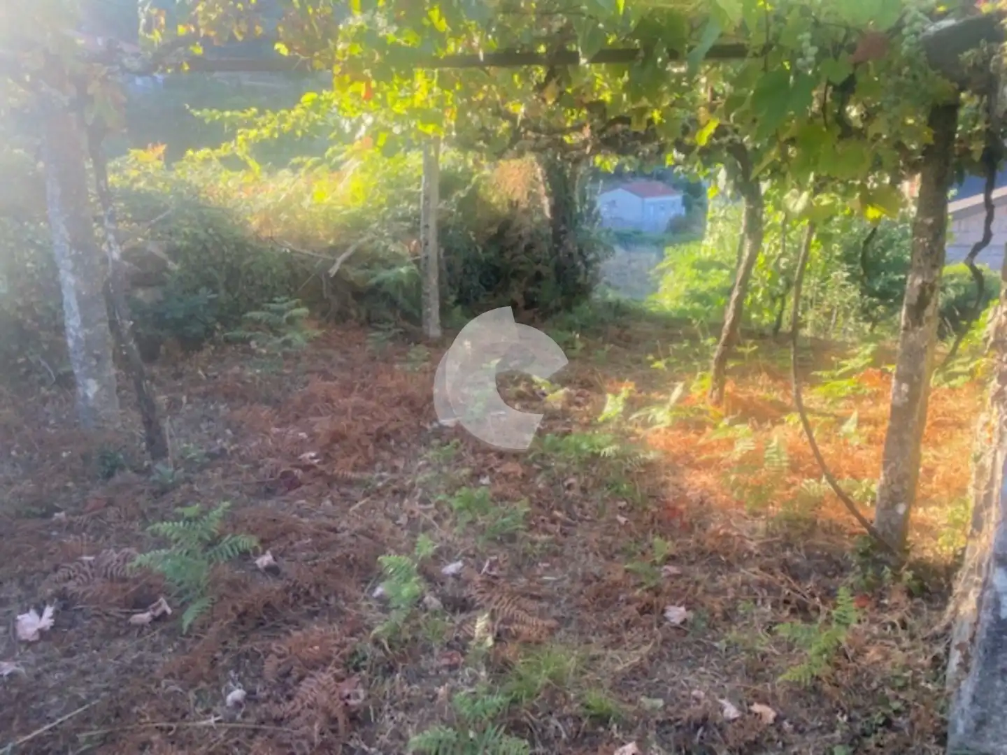 Casa amb jardí en venda a Entrimo, imagen 7