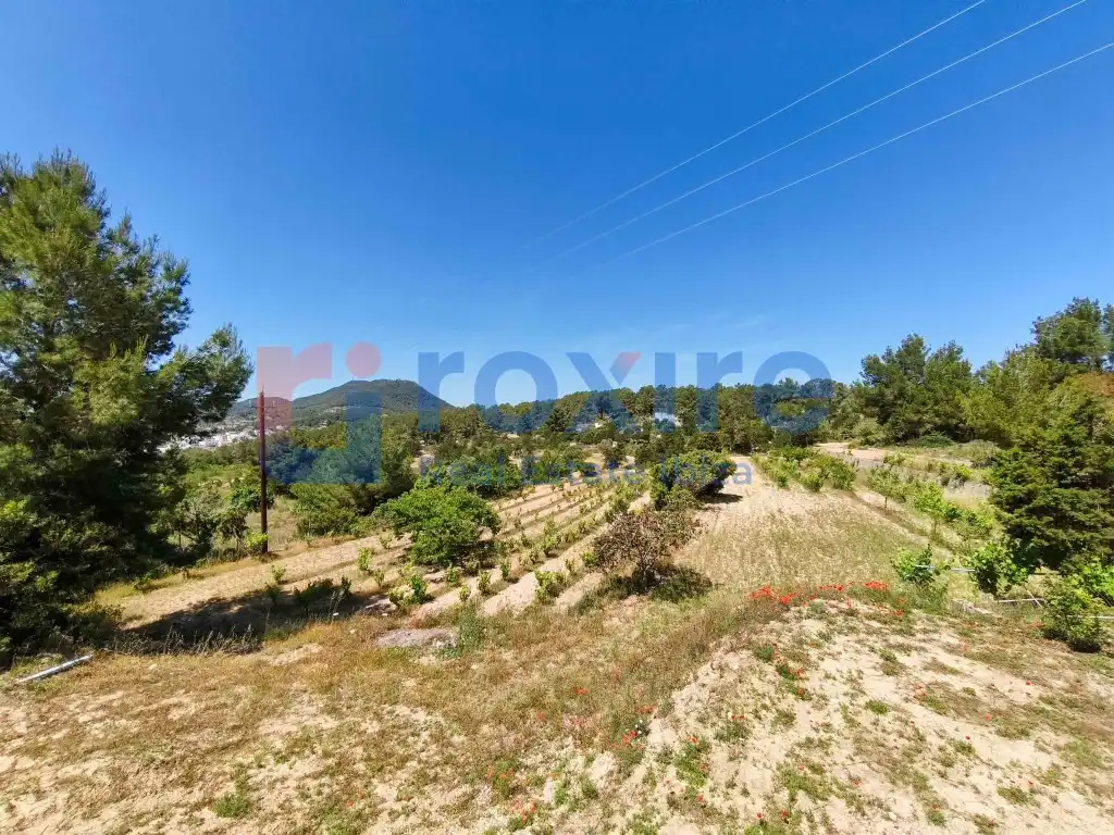 Finca rústica de lloguer a Diseminados Pq S Jose, 249, Sant Josep