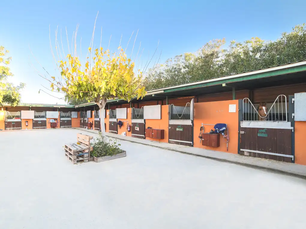 Casa amb terrassa en venda a Los Pinares - La Masia, imagen 4