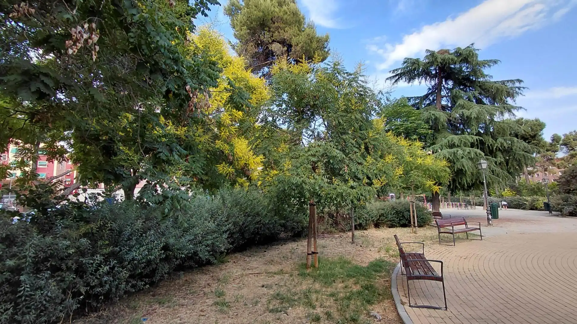 Garten von Büro zum Verkauf in Madrid