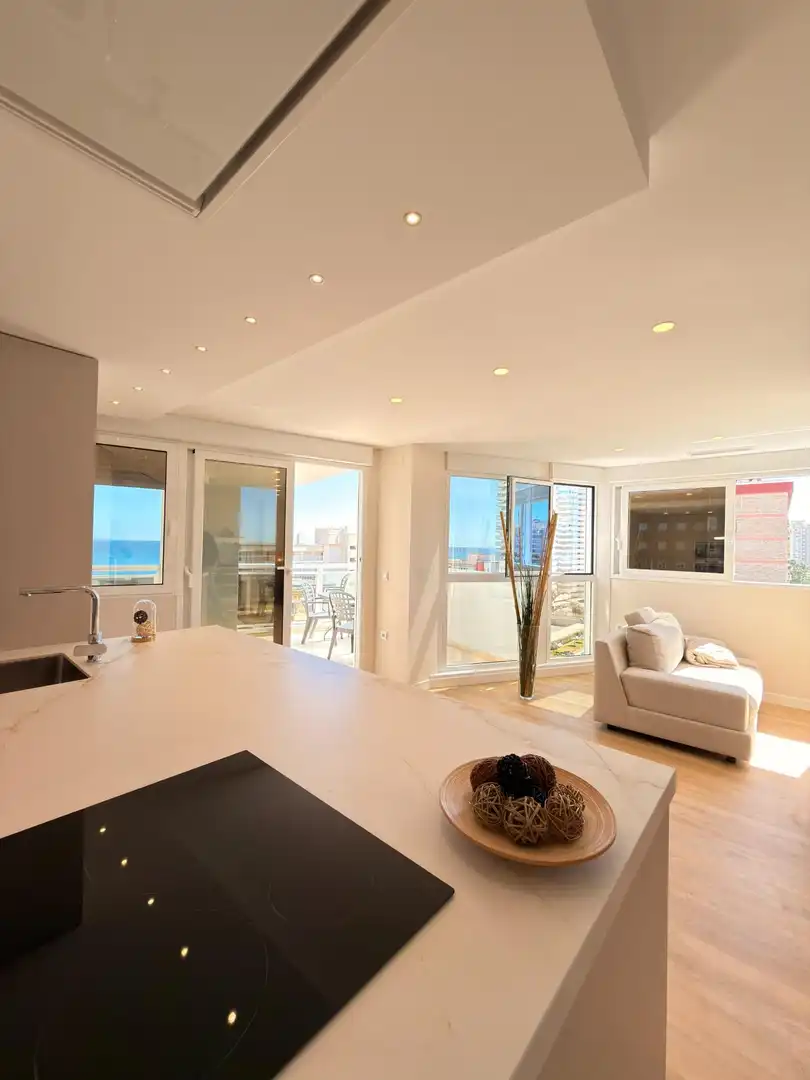 Living room of Flat for rent in Alicante / Alacant  with Air Conditioner, Private garden and Terrace