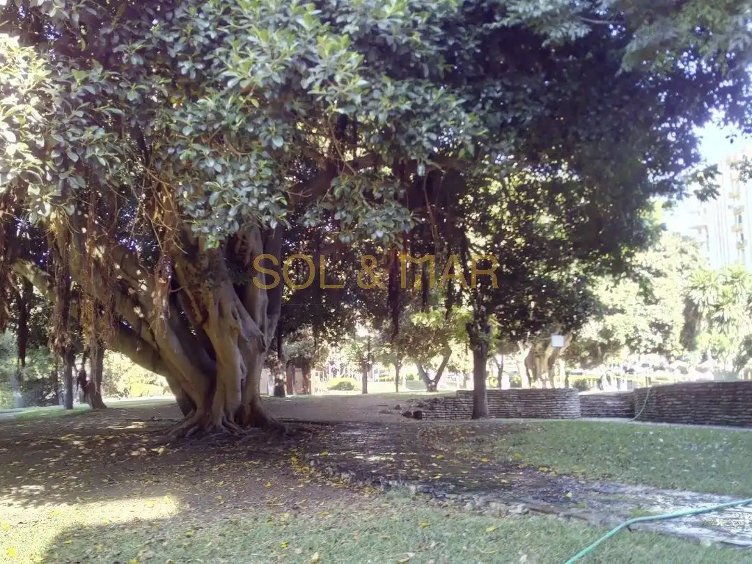 Studio with pool for sale in Gamonal, imagen 12