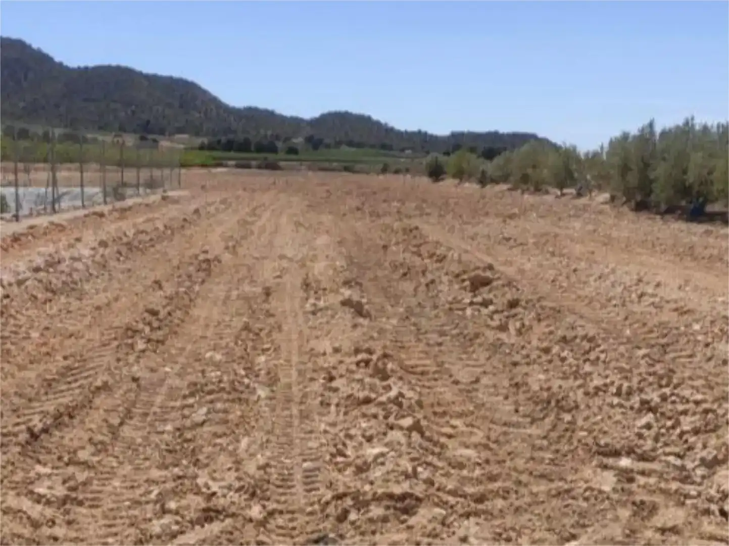 Finca rústica en venda en Blanca