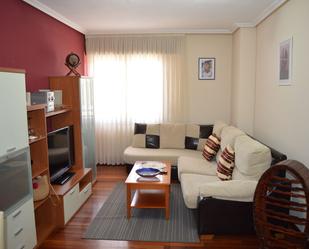 Living room of Flat to rent in Medina de Pomar