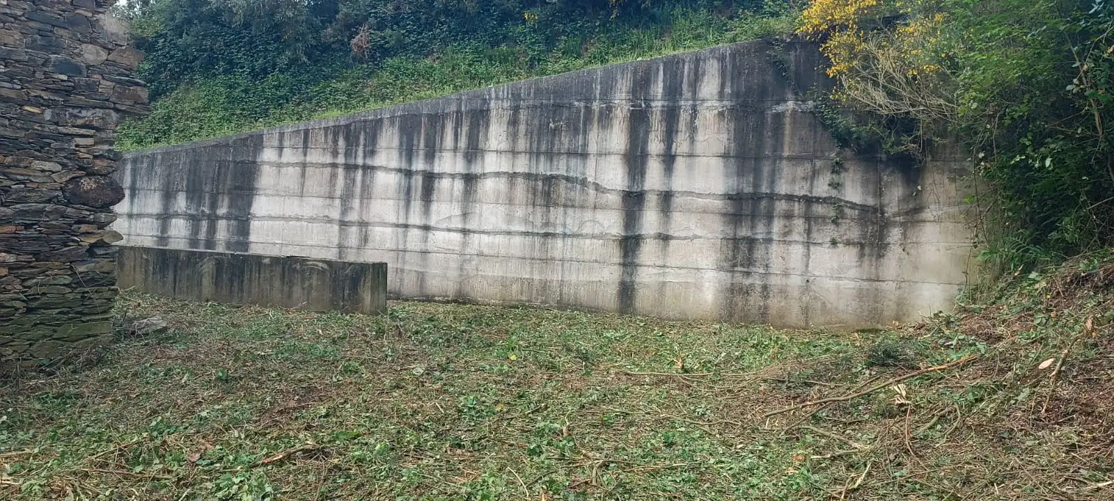 Vista exterior de Finca rústica en venta en Vegadeo