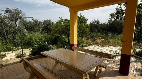 Photo 5 of Land for sale in Mata Alcozarina, Morón de la Frontera, Sevilla