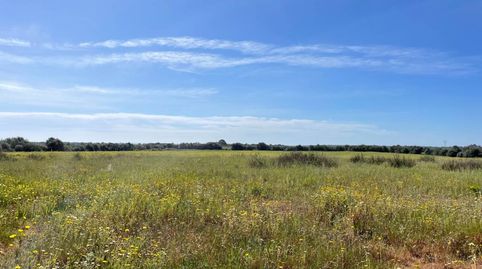 Finca rustica en venta en LLucmajor