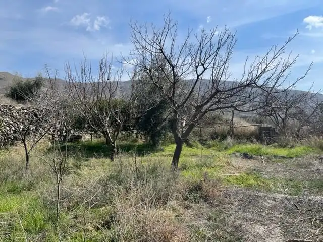 Casa o xalet en venda en Nacimiento amb Traster i Moblat
