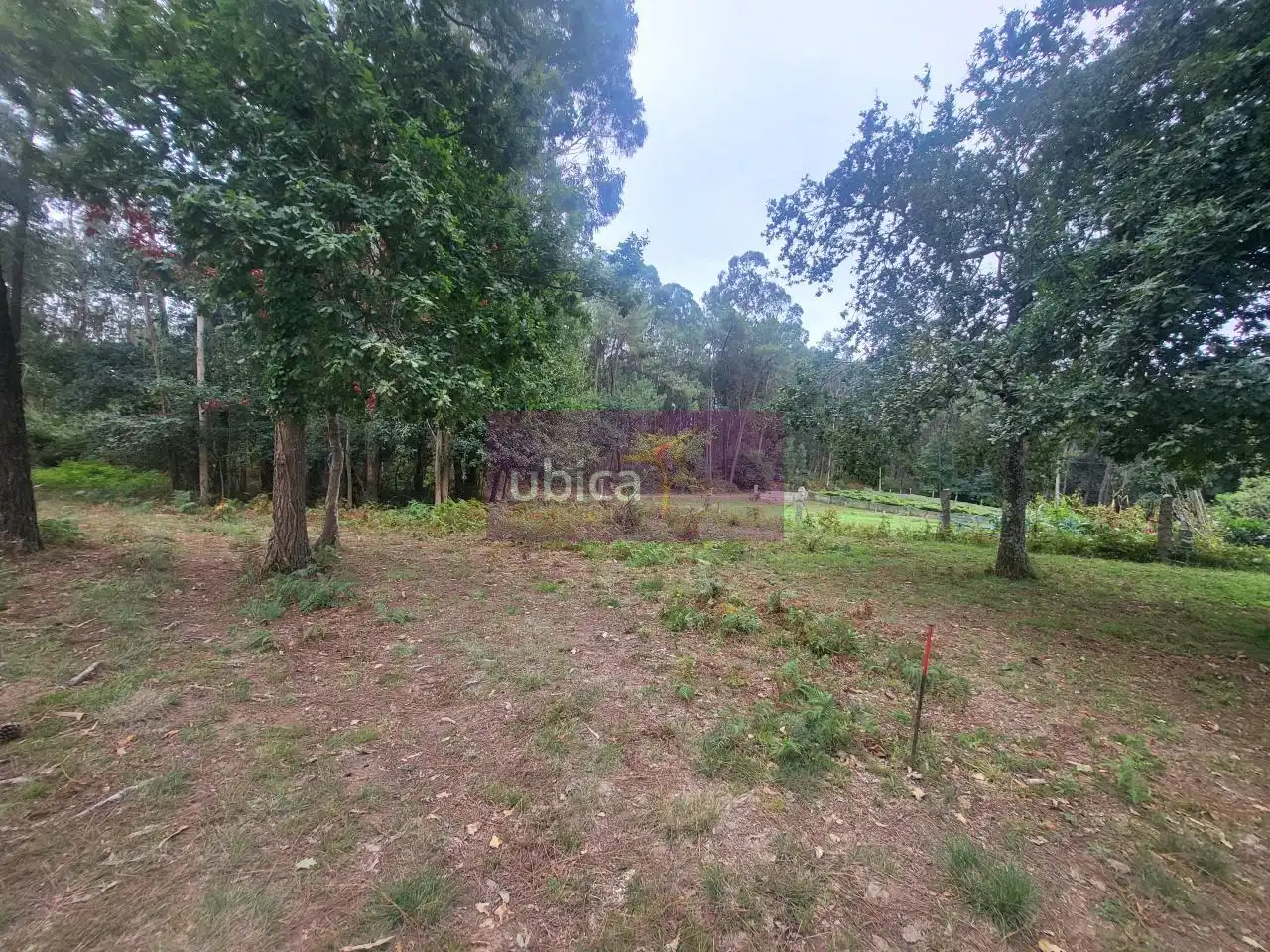Terreny residencial en venda a Salceda de Caselas, imagen 6