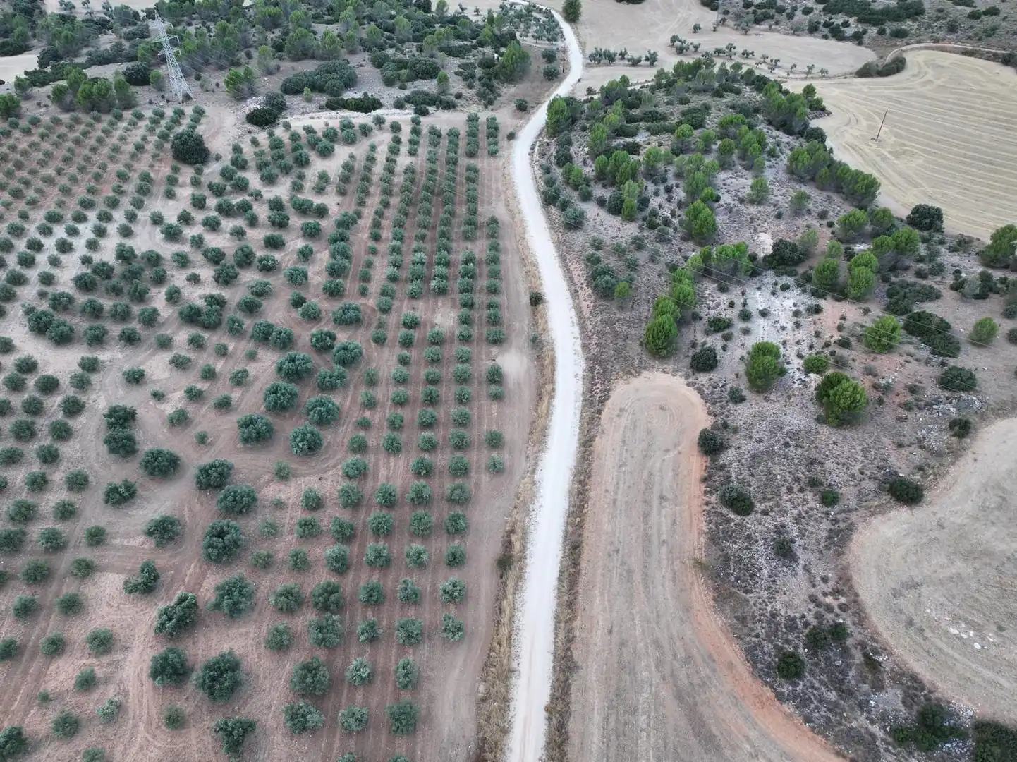 Terreno en venta en Pozuelo del Rey, Madrid